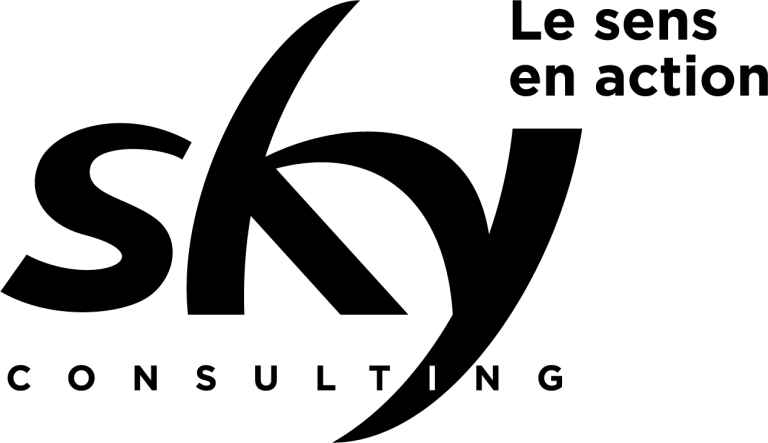 Sky Consulting